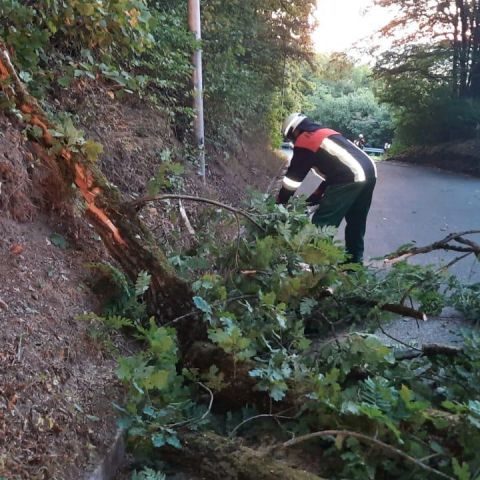 Technischer Hilfeleistungseinsatz