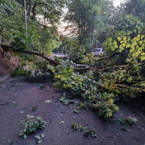 Technischer Hilfeleistungseinsatz