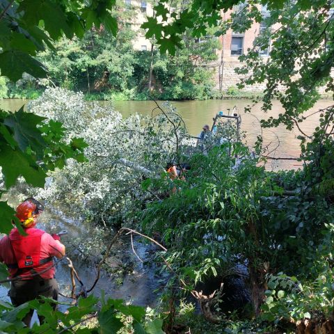 Technischer Hilfeleistungseinsatz