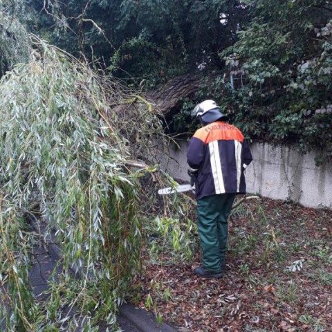 Technischer Hilfeleistungseinsatz