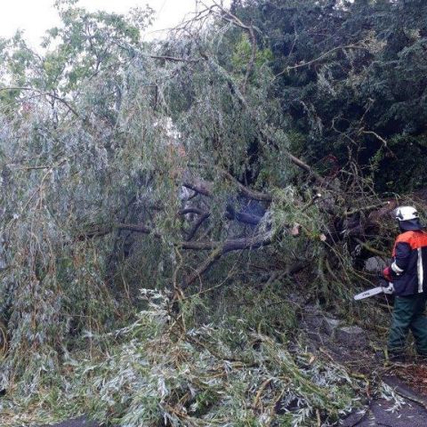 Technischer Hilfeleistungseinsatz