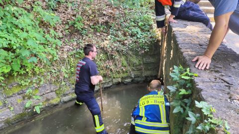 Technischer Hilfeleistungseinsatz