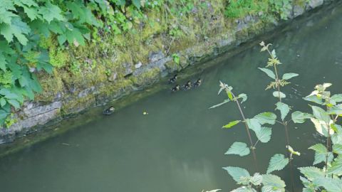 Technischer Hilfeleistungseinsatz