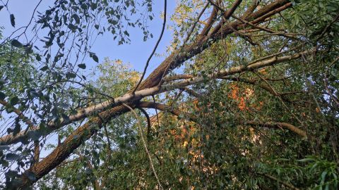 Technischer Hilfeleistungseinsatz