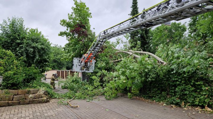 Technischer Hilfeleistungseinsatz