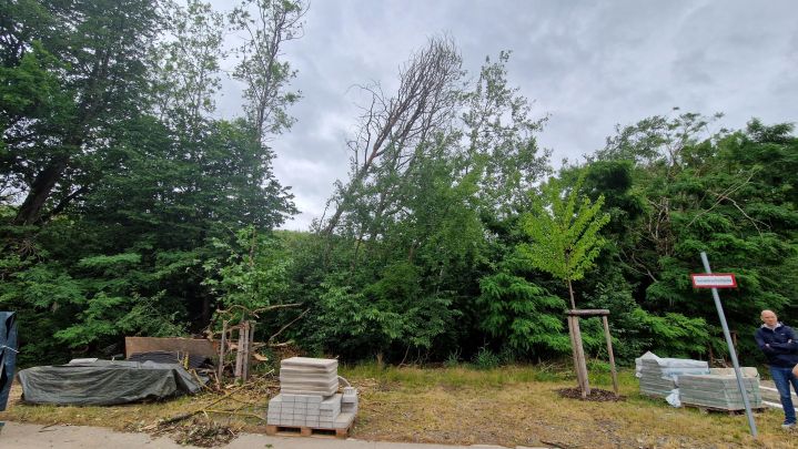 Technischer Hilfeleistungseinsatz