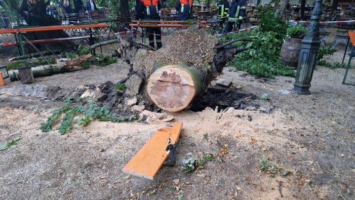 Technischer Hilfeleistungseinsatz