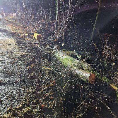 Technischer Hilfeleistungseinsatz