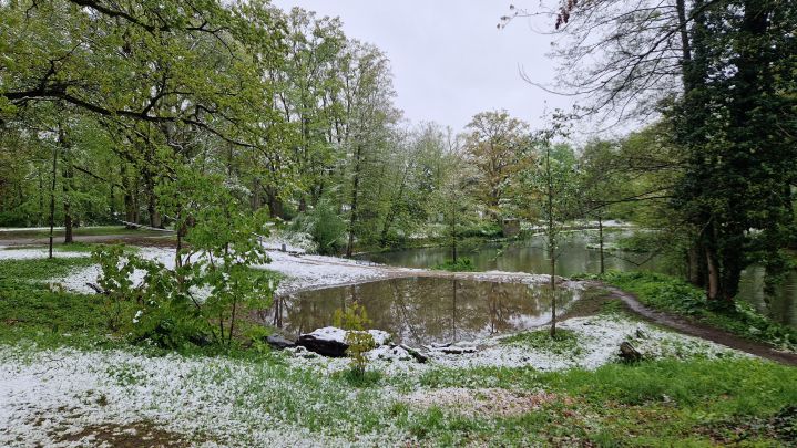 Technischer Hilfeleistungseinsatz