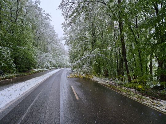 Technischer Hilfeleistungseinsatz