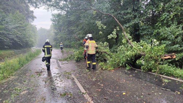 Technischer Hilfeleistungseinsatz