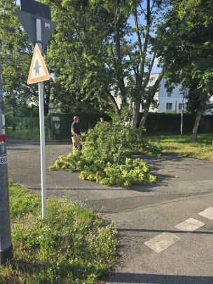 Technischer Hilfeleistungseinsatz