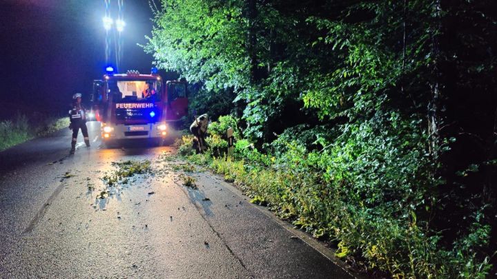 Technischer Hilfeleistungseinsatz